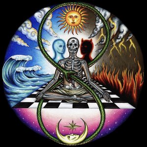 Image pour 'Comfort In Chaos'