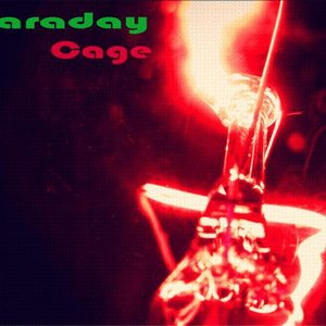 Image for 'Faraday Cage'