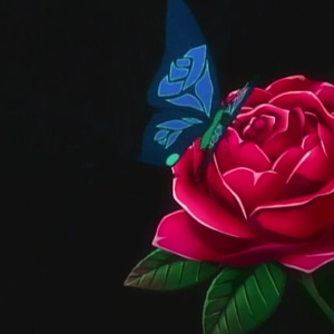 rosepetals1984