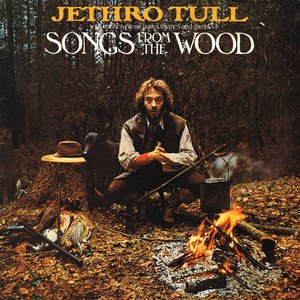 Image for 'Songs From the Wood'
