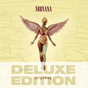 'In Utero - 20th Anniversary - Deluxe Edition'の画像