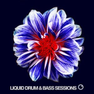 Image for 'Liquid Drum & Bass Sessions 2019 Vol 6'