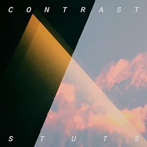 Immagine per 'Contrast'