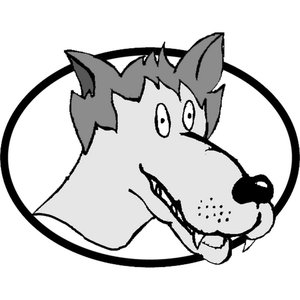 “Bad Wolf Press”的封面