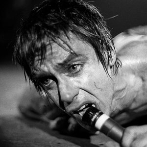 Zdjęcia dla 'Iggy Pop'