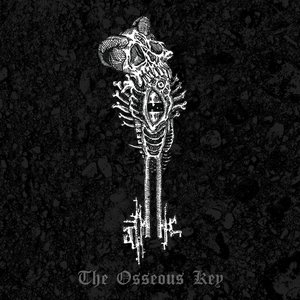 Image for 'The Osseous Key'