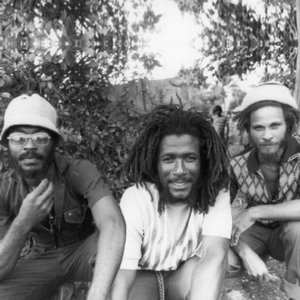 Image for 'The Congos'