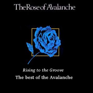 Image for 'Rising to the Groove - The Best of The Avalanche'