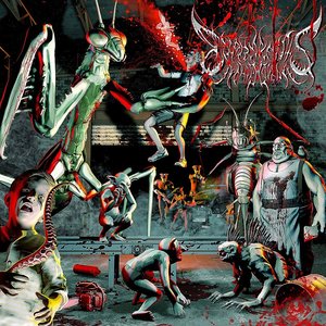 Image for 'Exormantis'