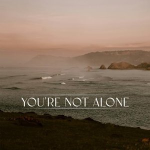 Bild för 'You're Not Alone'