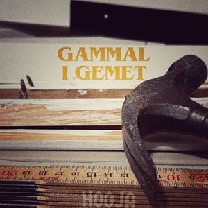 “GAMMAL I GEMET”的封面