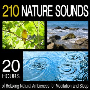 Image for '210 Nature Sounds: 20 Hours of Relaxing Natural Ambiences for Meditation and Sleep'