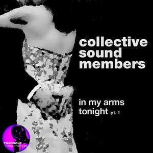 Image pour 'Collective Sound Members'