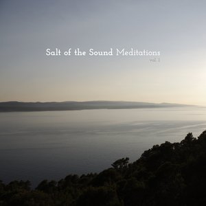 Bild för 'Meditations, Vol. 1'