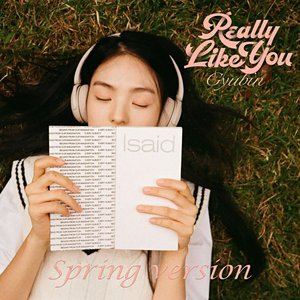 Image for 'Really Like You (Spring Version)'