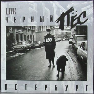 Bild für 'ДДТ - Черный пес Петербург (2001, Переиздание XXI век)'