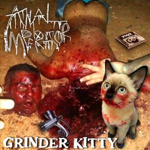Image for 'Grinder Kitty'