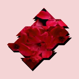 Image for 'Florescence'