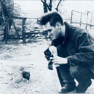 “Morrissey”的封面