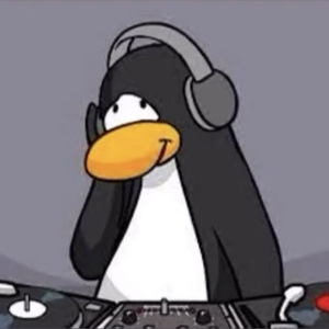 vsridisquo