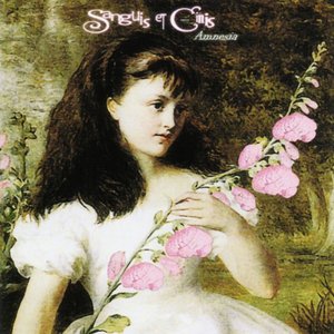 Image for 'Amnesia'