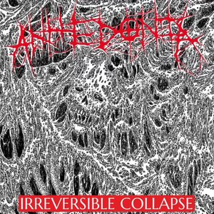 Image for 'IRREVERSIBLE COLLAPSE'
