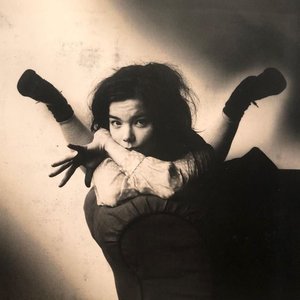 “Björk”的封面
