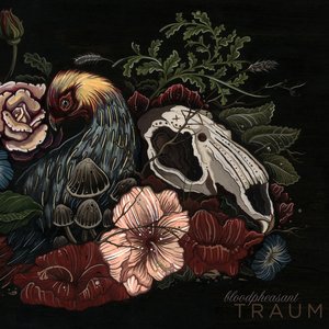 Image for 'traum'