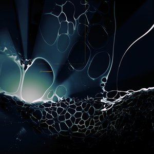 Bild für 'The Rhythm Of A Dividing Pair'