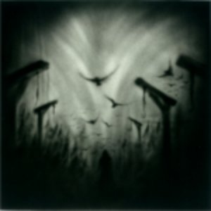 Image for 'Viirastus'
