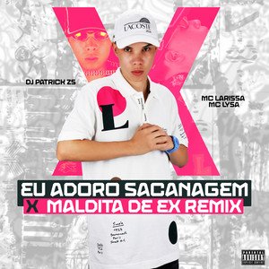 Immagine per 'Eu Adoro Sacanagem X Maldita de Ex Remix'