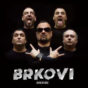 Image for 'Brkovi su da se vole'