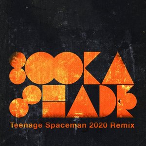 Image for 'Teenage Spaceman (2020 Remixes)'