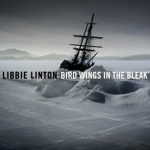 Immagine per 'Bird Wings in the Bleak'