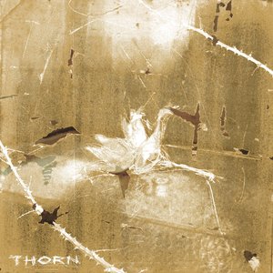 “Thorn”的封面