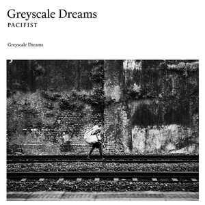 “Greyscale Dreams”的封面