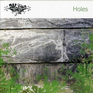 “Holes”的封面