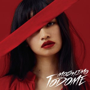 “TODOME”的封面