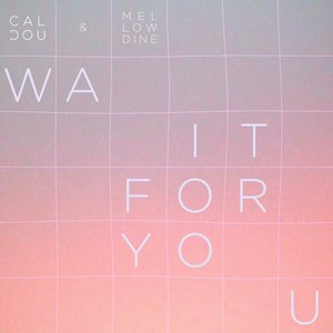 Immagine per 'Wait for you'