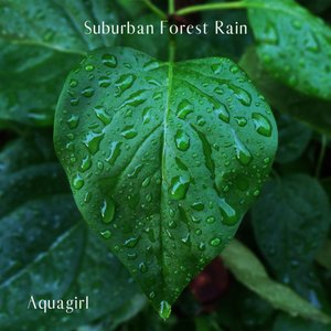 “Suburban Forest Rain”的封面