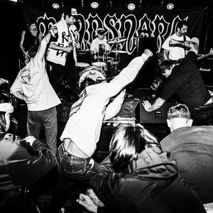 “Rat Bait”的封面