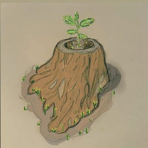 Image for 'Logging Field'