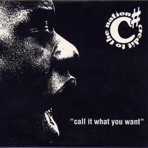 Image for 'Call It What You Want'