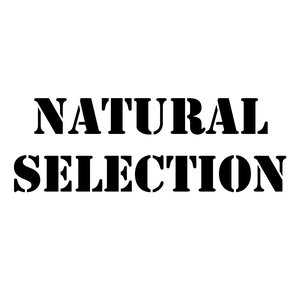 “NATURAL SELECTION”的封面