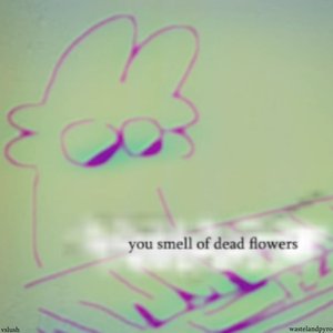 Image for 'you smell of dead flowers'