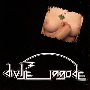 Bild für 'Divlje Jagode (remastered 2006)'