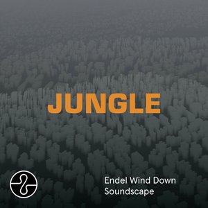 Image pour 'JUNGLE (Wind Down Soundscape)'