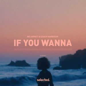 Image for 'If You Wanna'