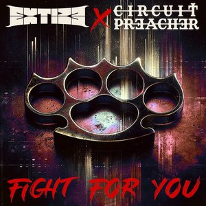 Image for 'Fight For You'