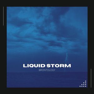 Image for 'Liquid Storm'